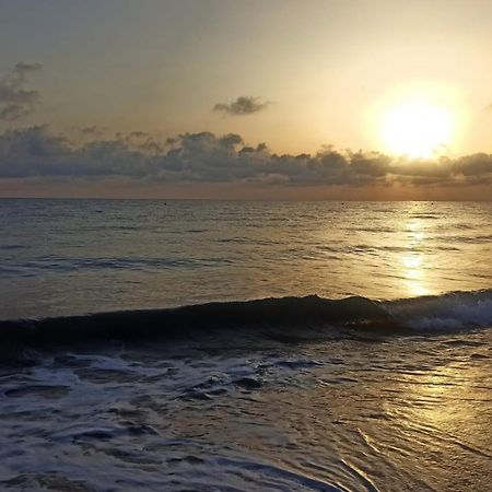 デニアLa Playa A 2 Minutos Y 14 Segundos A Pieアパートメント エクステリア 写真